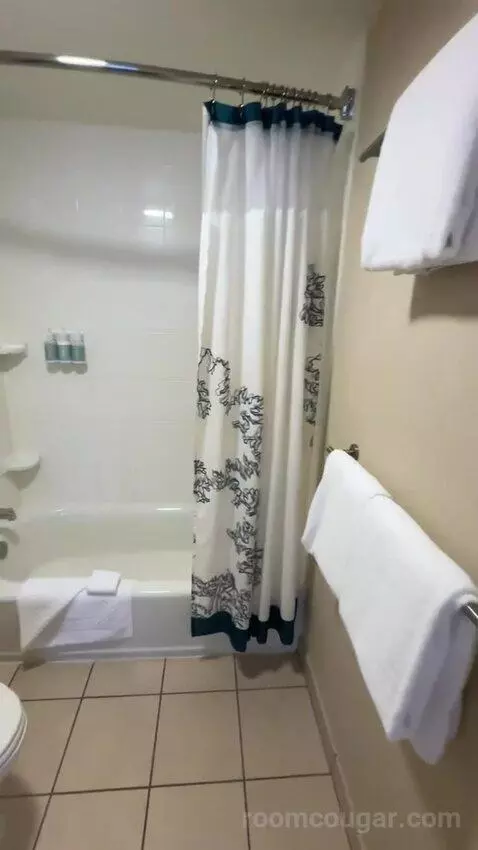 King Studio with Sofa Bed (#229) bathroom picture #6