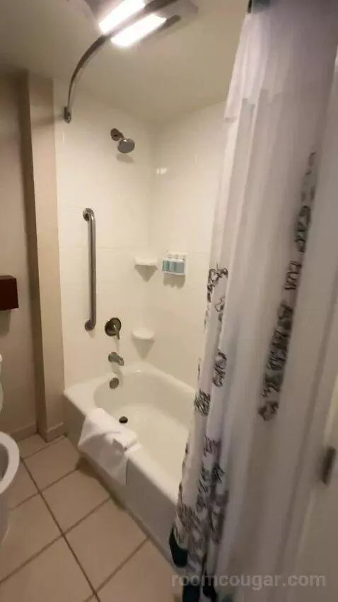 One-Bedroom King Suite with Sofa Bed (#235) bathroom picture #7