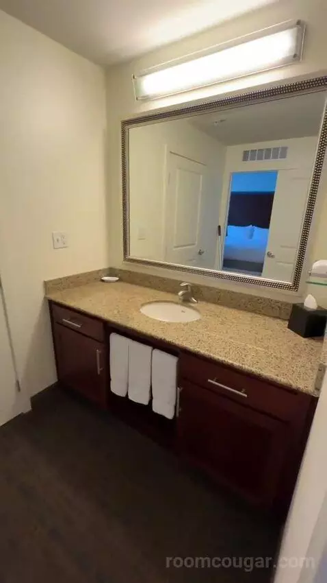 One-Bedroom King Suite with Sofa Bed (#235) bathroom picture #1