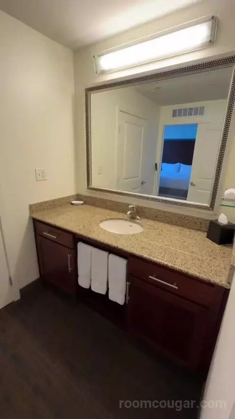 One-Bedroom King Suite with Sofa Bed (#235) bathroom picture #2