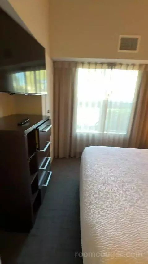One-Bedroom Queen Suite with Sofa Bed (#139) bed picture #4