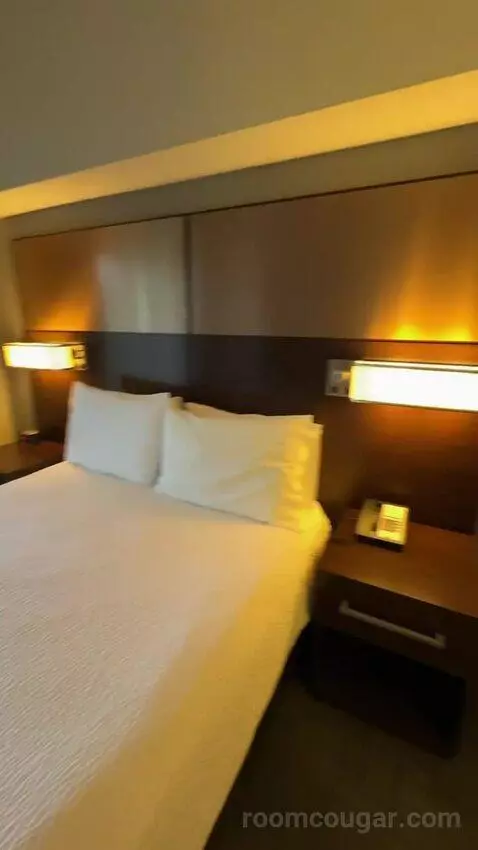 One-Bedroom Queen Suite with Sofa Bed (#139) bed picture #8