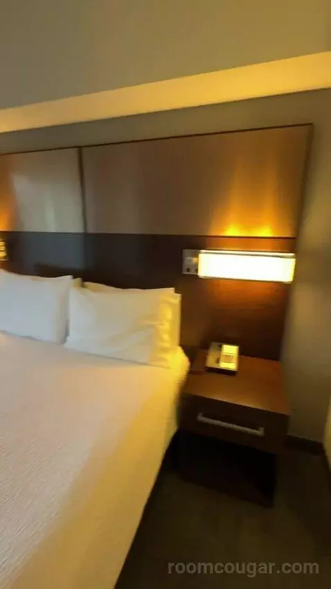 One-Bedroom Queen Suite with Sofa Bed (#139) bed picture #9