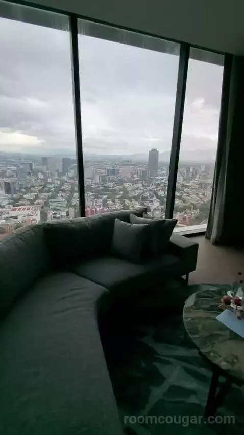 Deluxe Corner Queen Room with Two Queen Beds and City View (#4225) view picture #12