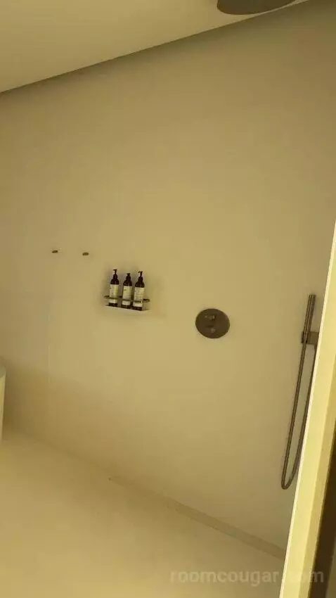 Sky Rooftop Villa bathroom picture #10