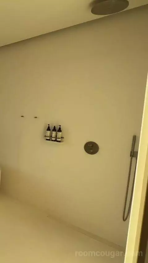 Sky Rooftop Villa bathroom picture #11