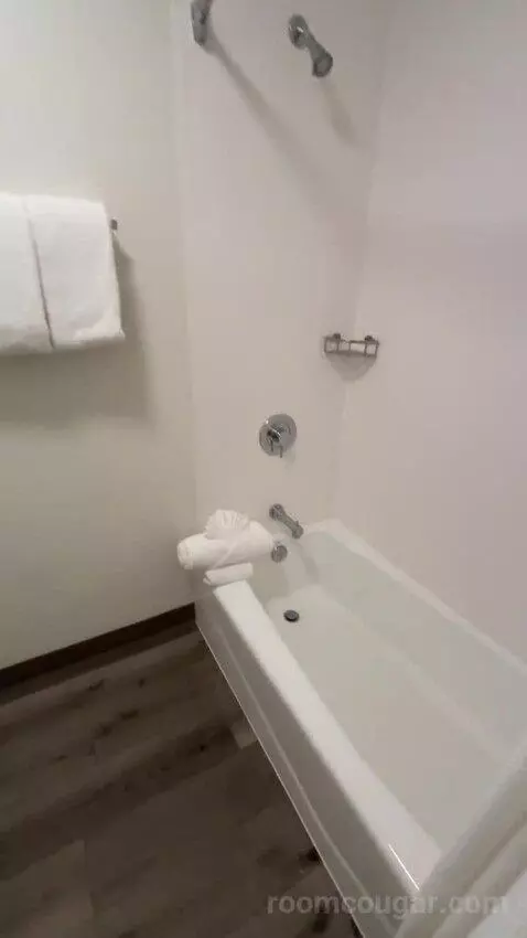 Queen Room with Two Queen Beds (#161) bathroom picture #3