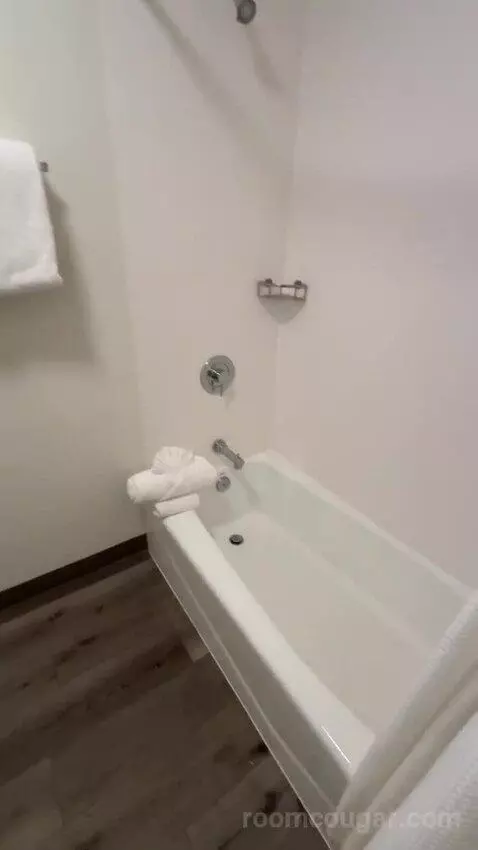 Queen Room with Two Queen Beds (#161) bathroom picture #4