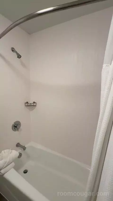 Queen Room with Two Queen Beds (#161) bathroom picture #5