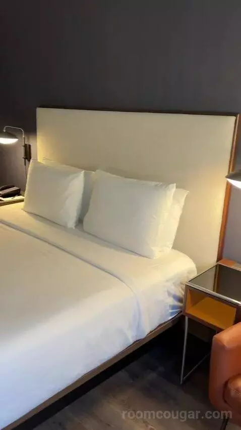 King Room with Sofa Bed and Transfer Shower - Mobility Accessible (#163) bed picture #2