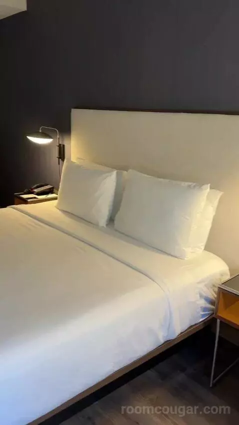 King Room with Sofa Bed and Transfer Shower - Mobility Accessible (#163) bed picture #4