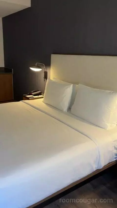 King Room with Sofa Bed and Transfer Shower - Mobility Accessible (#163) bed picture #6