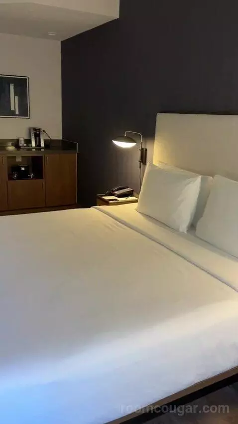 King Room with Sofa Bed and Transfer Shower - Mobility Accessible (#163) bed picture #7