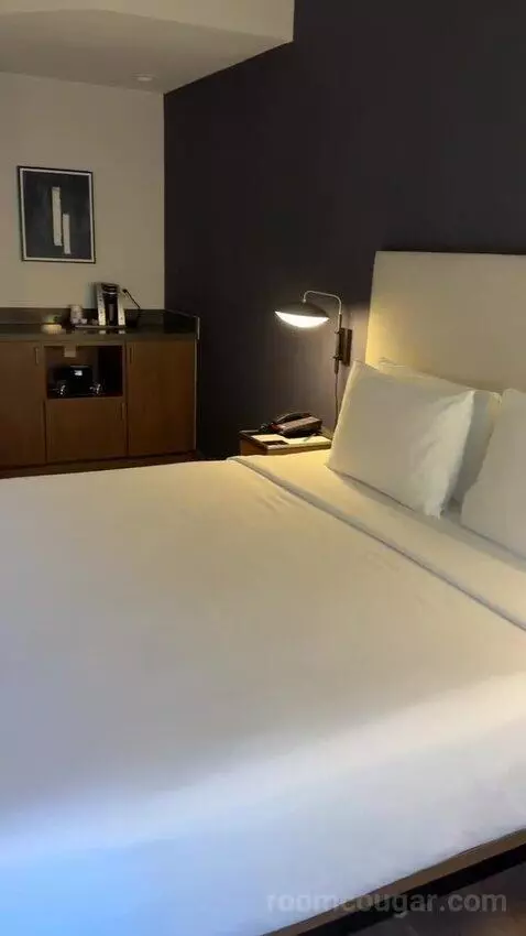 King Room with Sofa Bed and Transfer Shower - Mobility Accessible (#163) bed picture #8