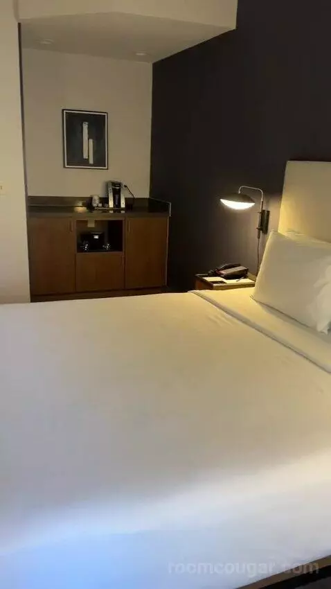King Room with Sofa Bed and Transfer Shower - Mobility Accessible (#163) bed picture #11