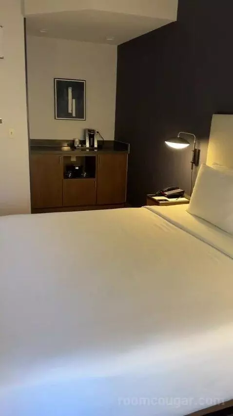 King Room with Sofa Bed and Transfer Shower - Mobility Accessible (#163) bed picture #12