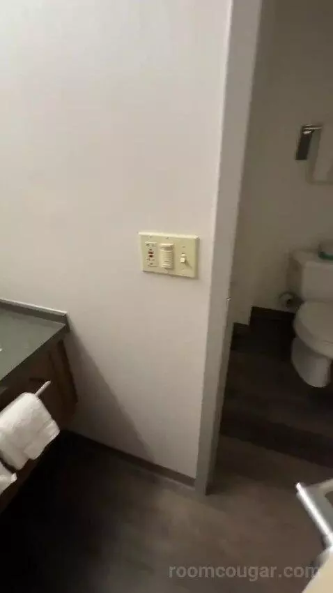 King Room with Sofa Bed and Transfer Shower - Mobility Accessible (#163) bathroom picture #4
