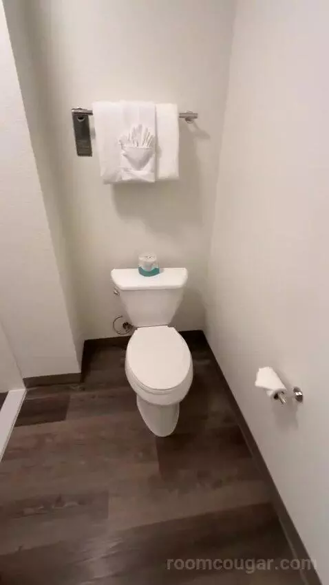 King Room with Sofa Bed and Transfer Shower - Mobility Accessible (#163) bathroom picture #5