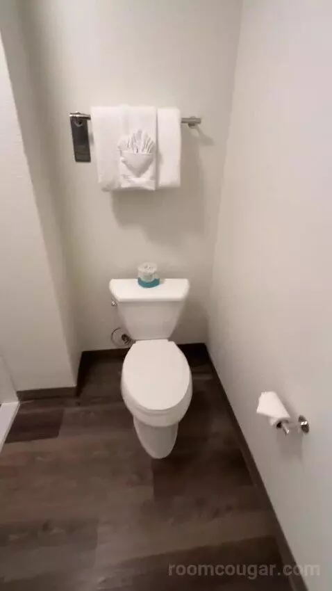 King Room with Sofa Bed and Transfer Shower - Mobility Accessible (#163) bathroom picture #6