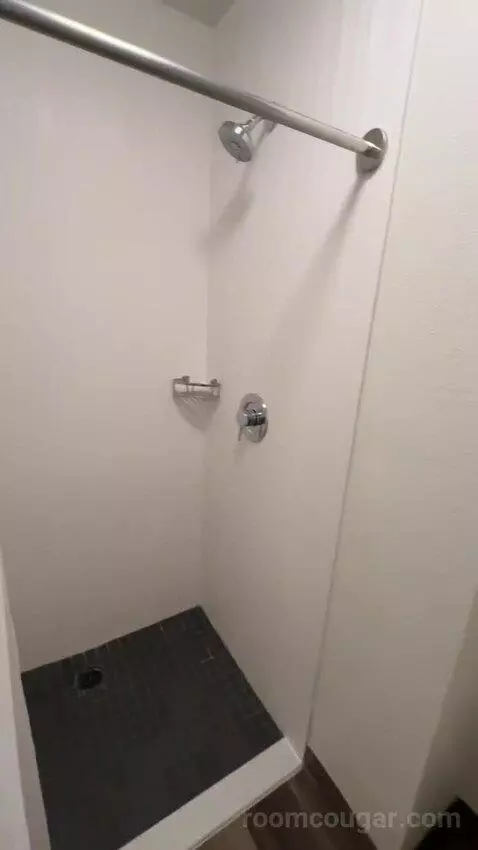 King Room with Sofa Bed and Transfer Shower - Mobility Accessible (#163) bathroom picture #7