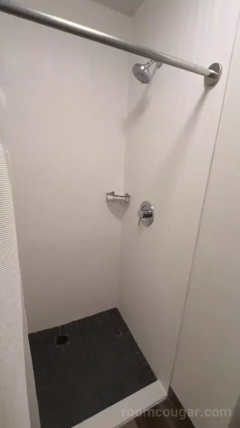 King Room with Sofa Bed and Transfer Shower - Mobility Accessible (#163) bathroom picture #8