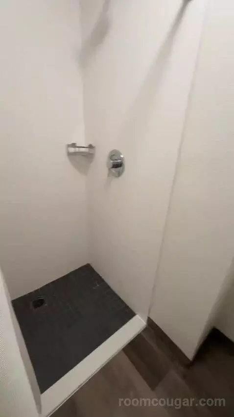 King Room with Sofa Bed and Transfer Shower - Mobility Accessible (#163) bathroom picture #9