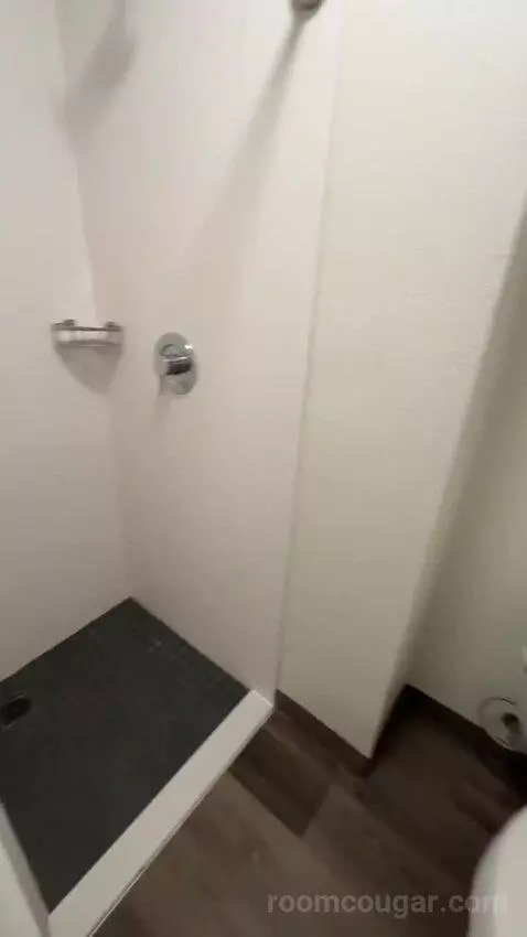 King Room with Sofa Bed and Transfer Shower - Mobility Accessible (#163) bathroom picture #10
