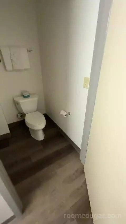 King Room with Sofa Bed and Transfer Shower - Mobility Accessible (#163) bathroom picture #12