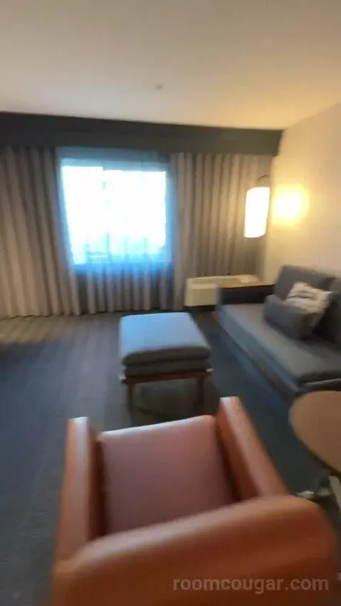 One-Bedroom King Suite with Sofa Bed (#210) bed picture #1