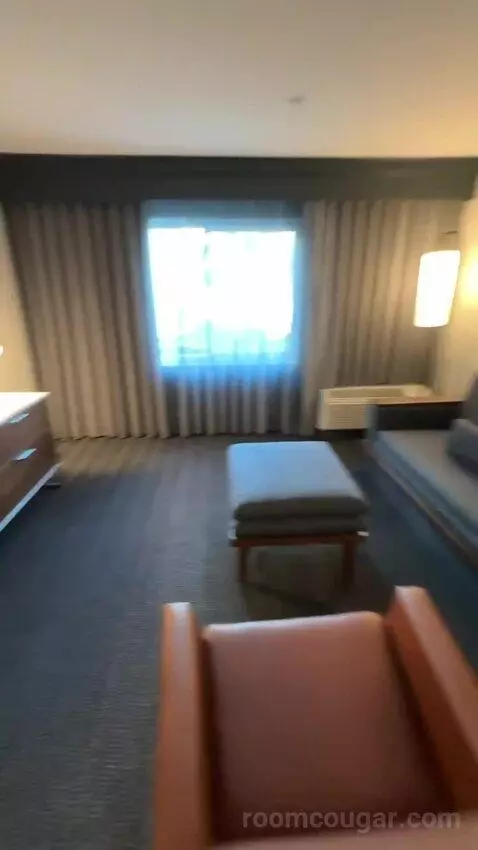 One-Bedroom King Suite with Sofa Bed (#210) bed picture #2