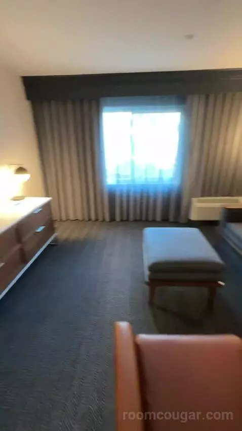 One-Bedroom King Suite with Sofa Bed (#210) bed picture #3