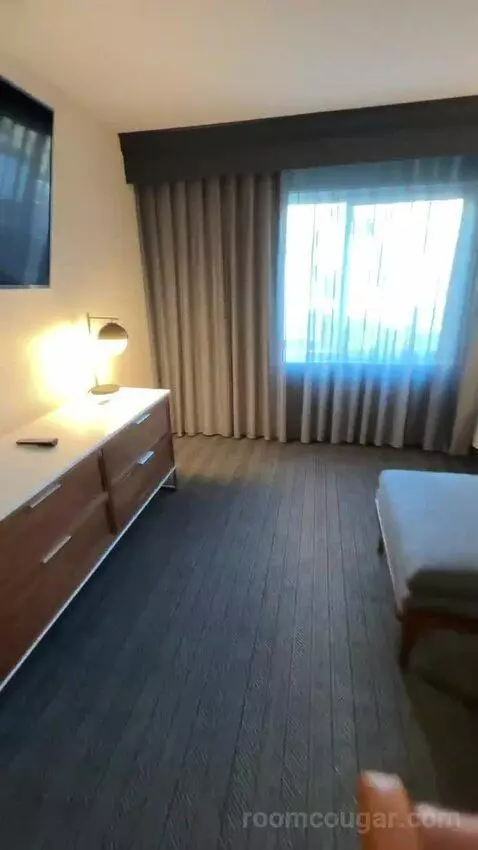 One-Bedroom King Suite with Sofa Bed (#210) bed picture #5