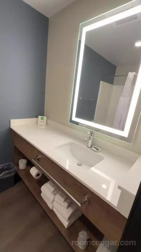 Queen Studio (#113) bathroom picture #2