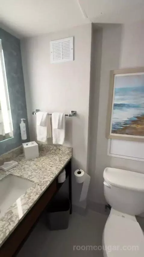 King Room (#261) bathroom picture #8