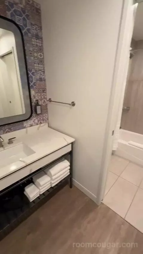 1king 2twin 2rm Suite-Parlor Plus Bedroom bathroom picture #4