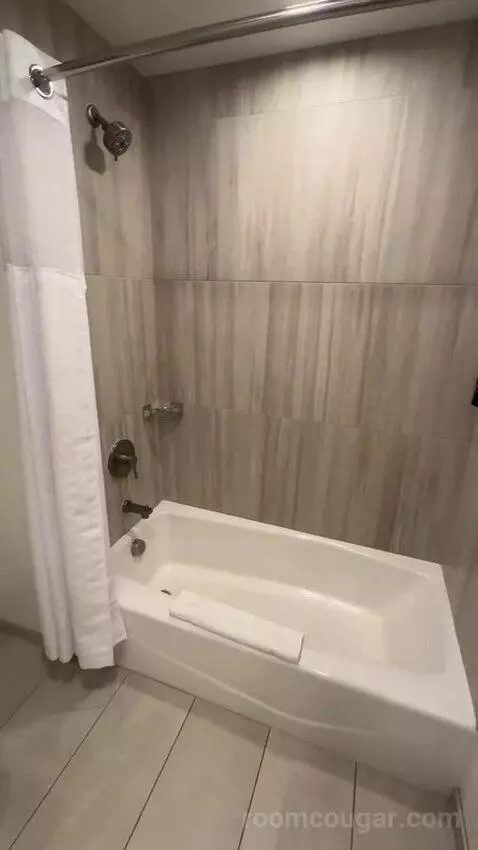 1king 2twin 2rm Suite-Parlor Plus Bedroom bathroom picture #5