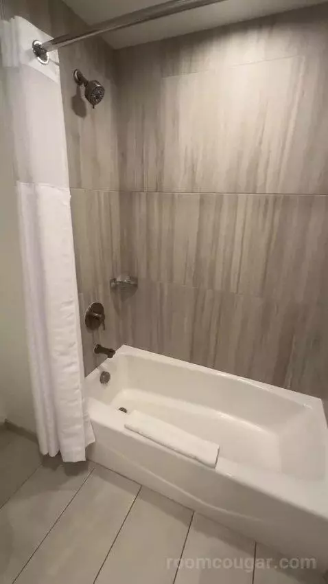 1king 2twin 2rm Suite-Parlor Plus Bedroom bathroom picture #6