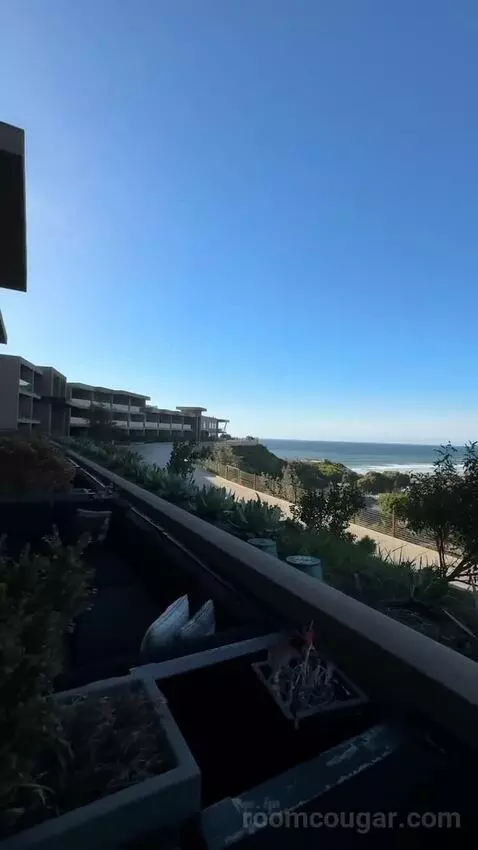 One King Bed Coastline View with Firepit view picture #4