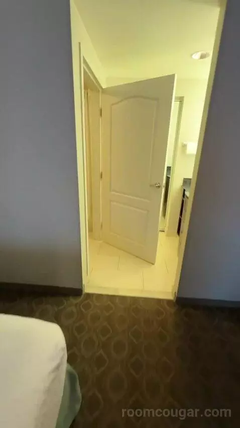 One-Bedroom Queen Suite with Two Queen Beds (#100) picture #17