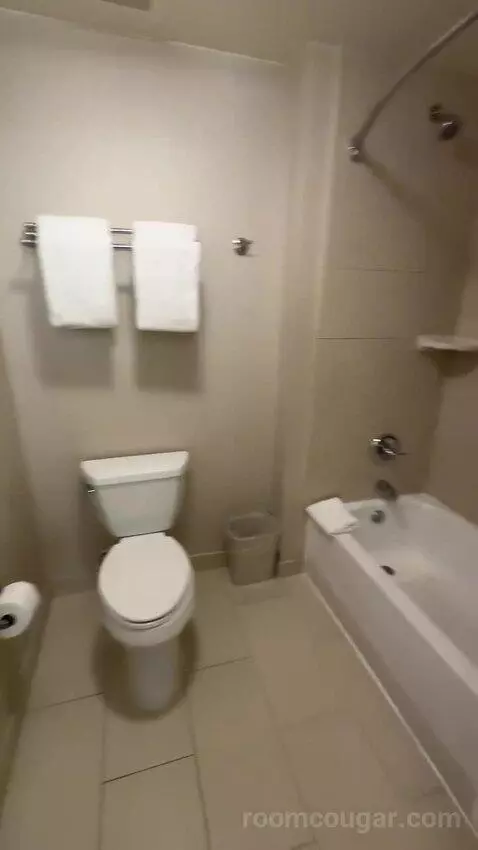 One-Bedroom Queen Suite with Two Queen Beds (#100) bathroom picture #4