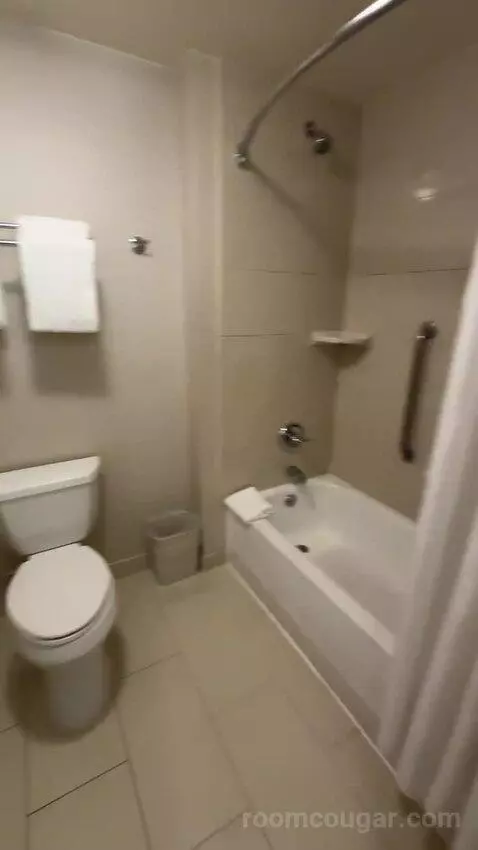 One-Bedroom Queen Suite with Two Queen Beds (#100) picture #19
