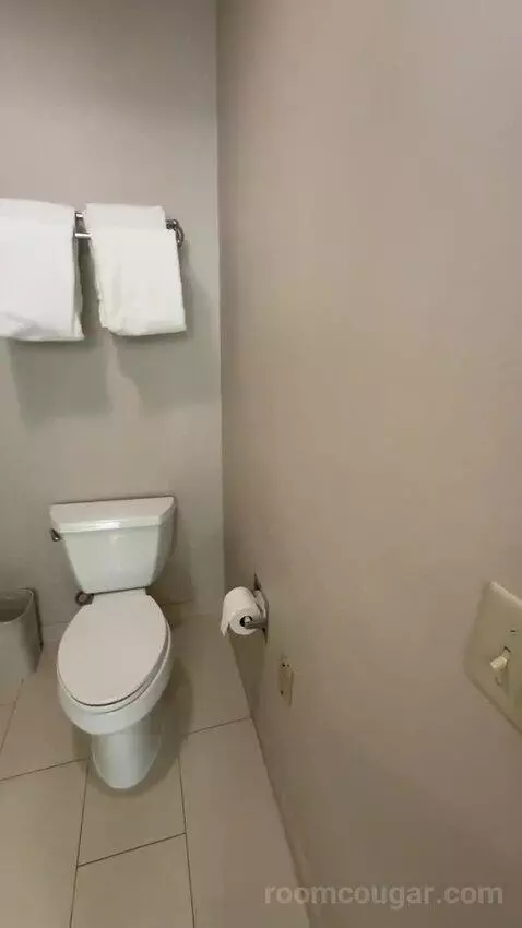 One Bedroom King Suite (#135) bathroom picture #4