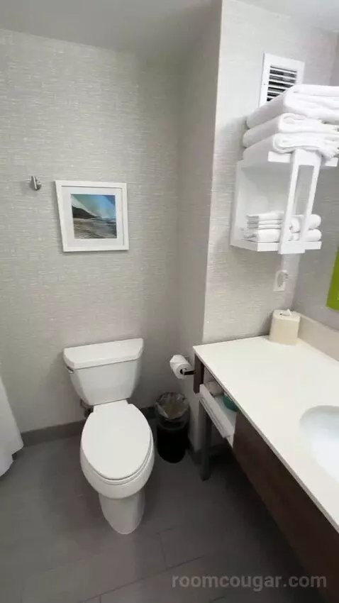 Queen Room with Two Queen Beds (#214) bathroom picture #5