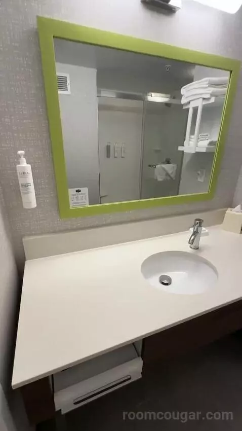 King Room (#304) bathroom picture #3