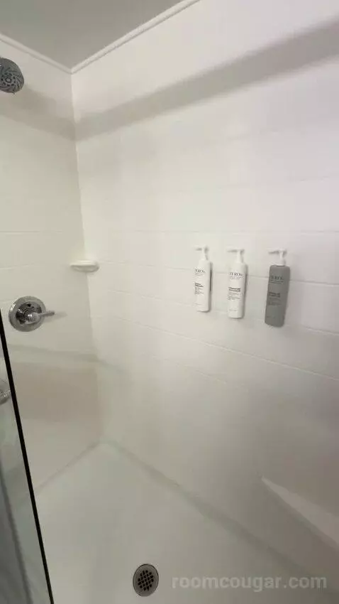 King Room (#304) bathroom picture #10