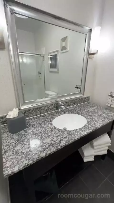 Queen Room with Two Queen Beds (#1009) bathroom picture #6