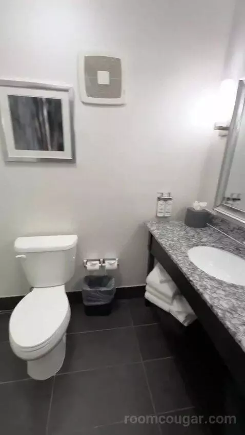 1 King Standard (#1012) bathroom picture #2