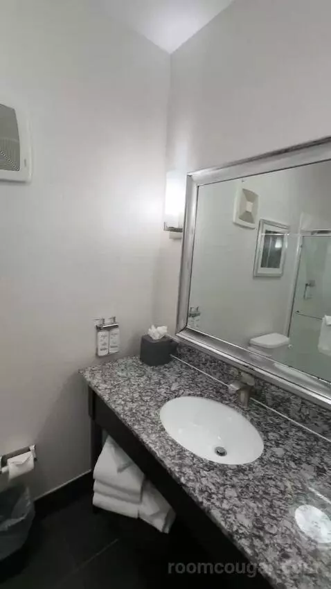 1 King Standard (#1012) bathroom picture #6