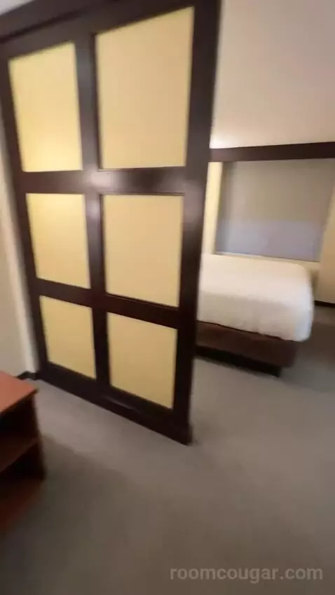 King Room with Sofa Bed (#128) bed picture #3