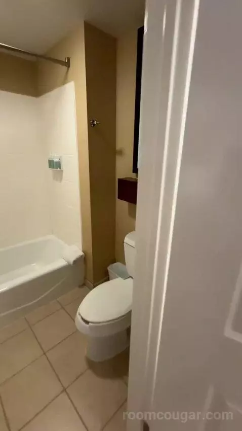 1 Bedroom Suite 2 Double, Sofa Bed (#300) bathroom picture #1